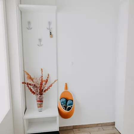 Apartments Miki'S Bled Room photo